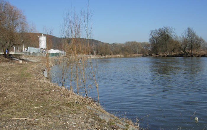 krásný den v Černošicích předjaří