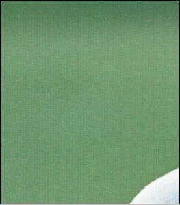 crop 66%
